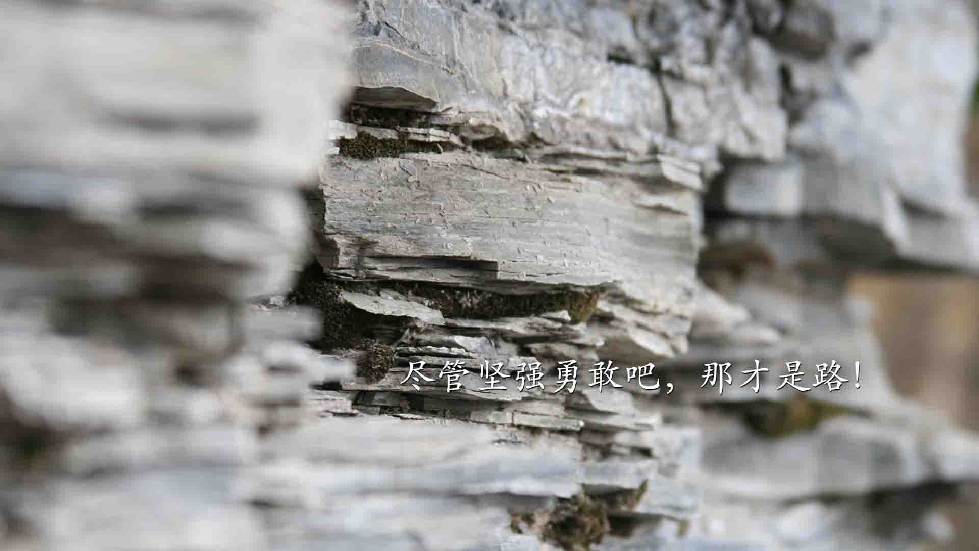 欧冠半决赛之夜，东契奇让达拉斯听见了伯纳乌的掌声