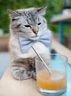 官网-1.8米后卫击碎13年魔咒，贝恩，不是天生的关键先生